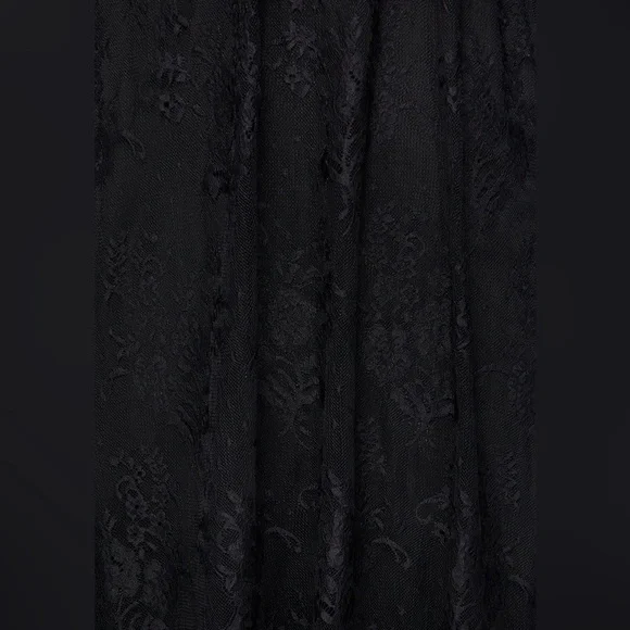 Disturbia Delilah Capped Sleeve Lace Midi Dress US 4 / UK 8 - Picture 8 of 9